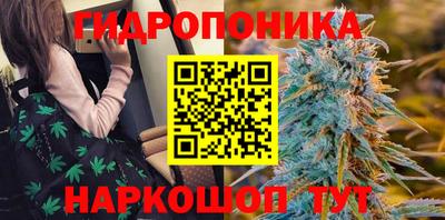дмт Лесосибирск