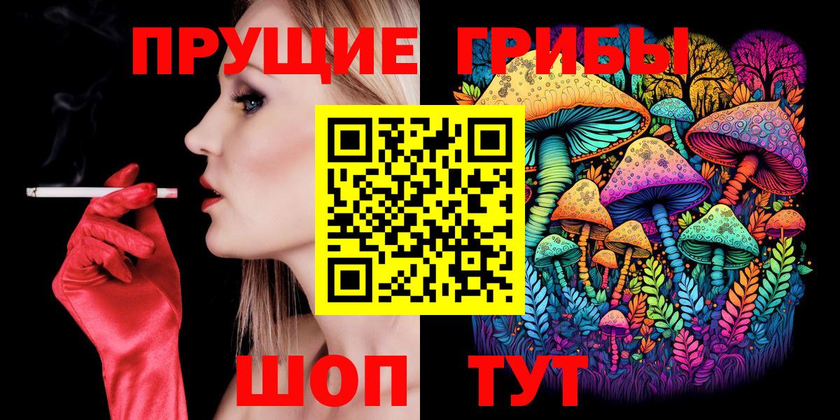 Галлюциногенные грибы Psilocybine cubensis Каменск-Шахтинский